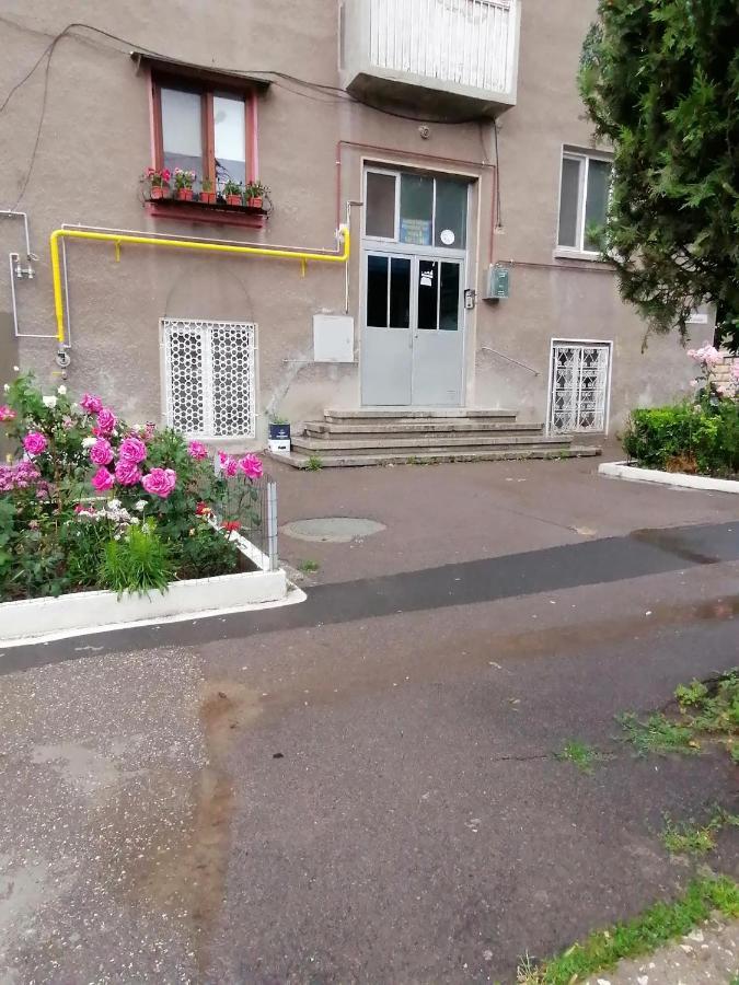 Mara Studio Apartment Констанца Екстериор снимка